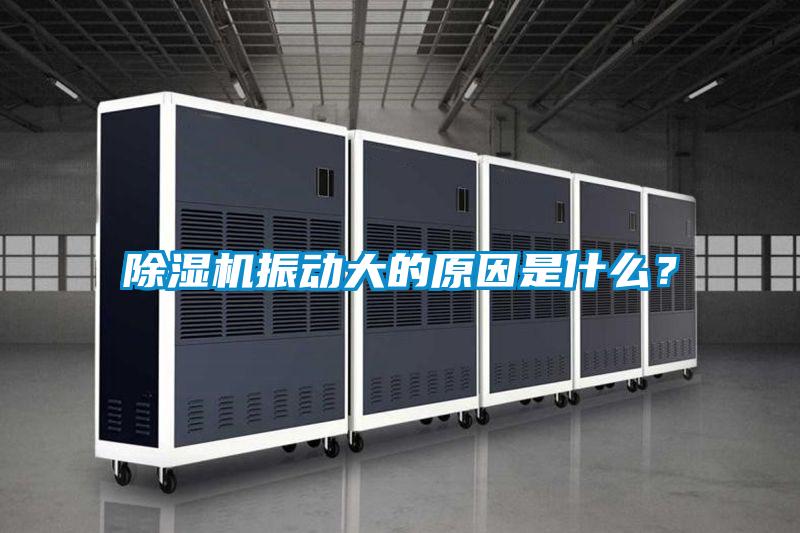 除濕機(jī)振動(dòng)大的原因是什么？