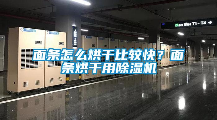 面條怎么烘干比較快？面條烘干用除濕機(jī)
