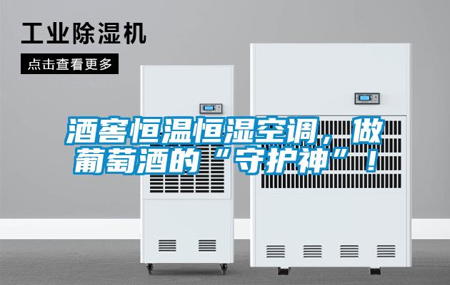 酒窖恒溫恒濕空調(diào)，做葡萄酒的“守護(hù)神”！