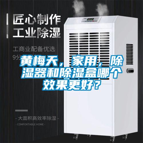黃梅天，家用，除濕器和除濕盒哪個(gè)效果更好？