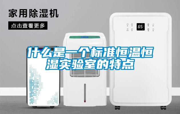 什么是一個標(biāo)準(zhǔn)恒溫恒濕實驗室的特點(diǎn)