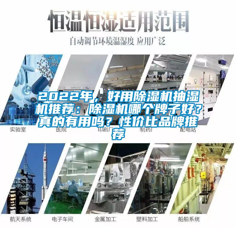 2022年，好用除濕機(jī)抽濕機(jī)推薦：除濕機(jī)哪個(gè)牌子好？真的有用嗎？性價(jià)比品牌推薦