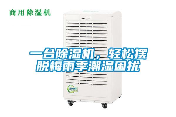 一臺除濕機，輕松擺脫梅雨季潮濕困擾