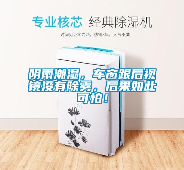 陰雨潮濕，車窗跟后視鏡沒有除霧，后果如此可怕！