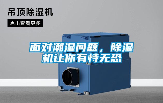 面對(duì)潮濕問題，除濕機(jī)讓你有恃無恐