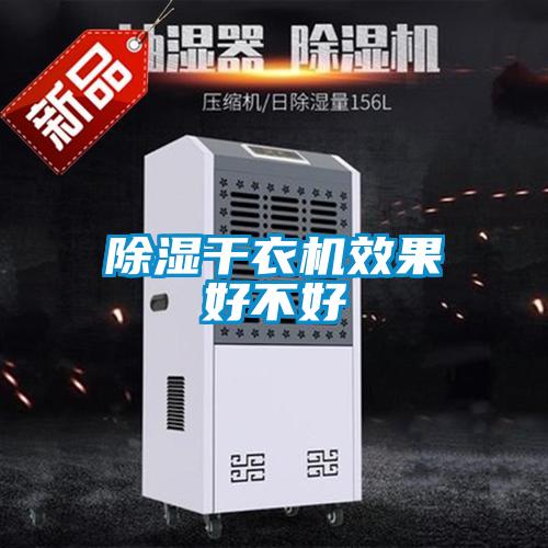 除濕干衣機(jī)效果好不好