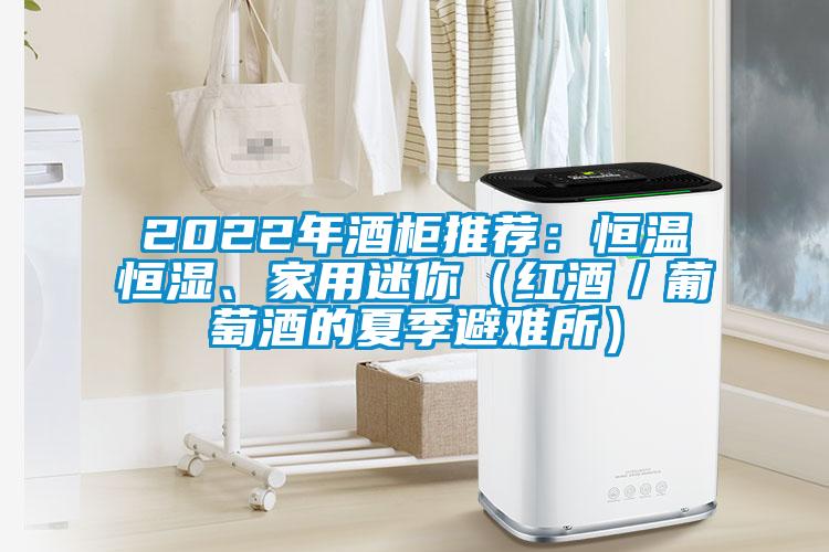 2022年酒柜推薦：恒溫恒濕、家用迷你（紅酒／葡萄酒的夏季避難所）