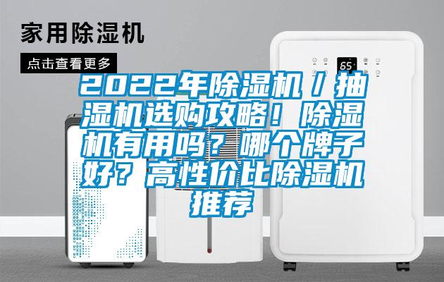 2022年除濕機(jī)／抽濕機(jī)選購攻略！除濕機(jī)有用嗎？哪個牌子好？高性價(jià)比除濕機(jī)推薦