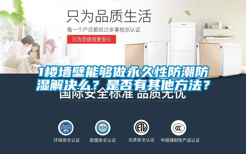 1樓墻壁能夠做永久性防潮防濕解決么？是否有其他方法？