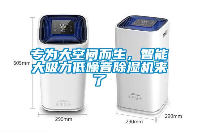 專為大空間而生，智能大吸力低噪音除濕機(jī)來(lái)了