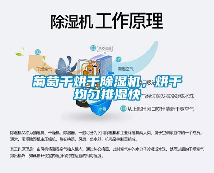 葡萄干烘干除濕機，烘干均勻排濕快