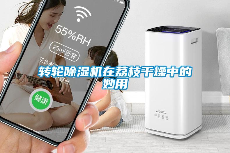 轉(zhuǎn)輪除濕機(jī)在荔枝干燥中的妙用
