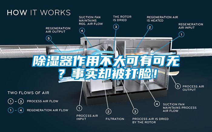 除濕器作用不大可有可無？事實(shí)卻被打臉！
