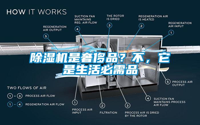 除濕機(jī)是奢侈品？不，它是生活必需品
