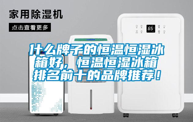 什么牌子的恒溫恒濕冰箱好，恒溫恒濕冰箱排名前十的品牌推薦！