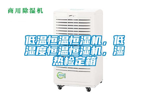 低溫恒溫恒濕機(jī)，低濕度恒溫恒濕機(jī)，濕熱檢定箱