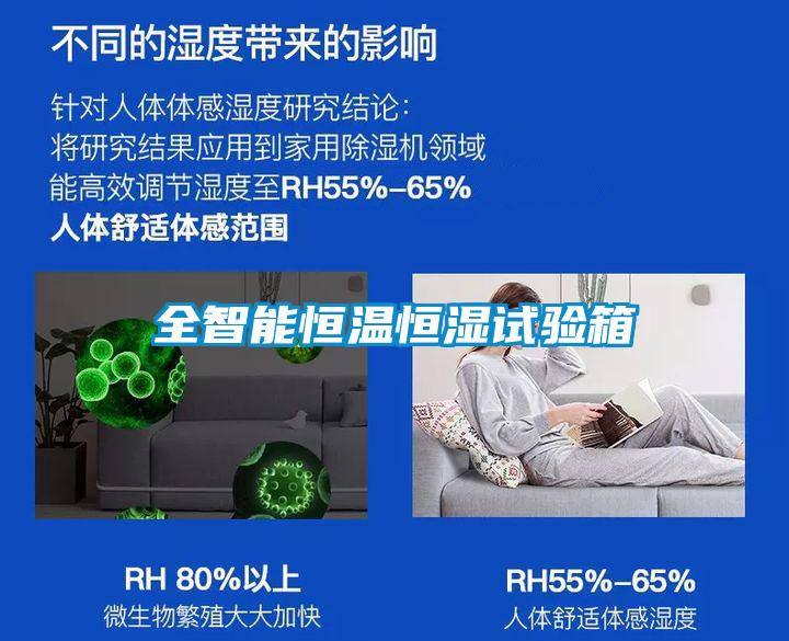 全智能恒溫恒濕試驗(yàn)箱