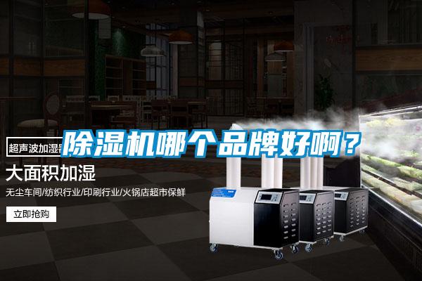 除濕機(jī)哪個(gè)品牌好??？