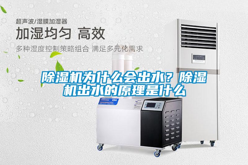 除濕機為什么會出水？除濕機出水的原理是什么