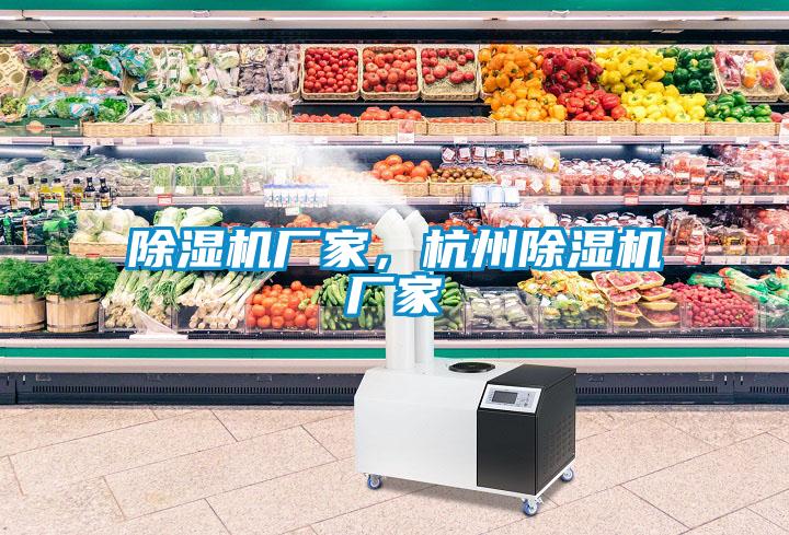 除濕機(jī)廠家，杭州除濕機(jī)廠家