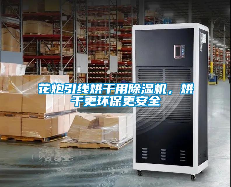 花炮引線烘干用除濕機(jī)，烘干更環(huán)保更安全