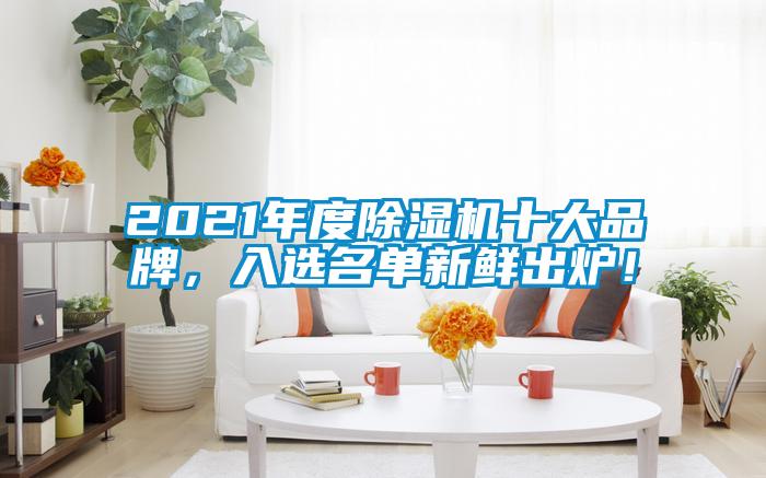 2021年度除濕機十大品牌，入選名單新鮮出爐！