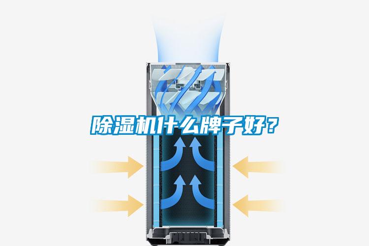 除濕機(jī)什么牌子好？