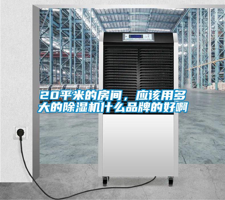 20平米的房間，應(yīng)該用多大的除濕機(jī)什么品牌的好啊