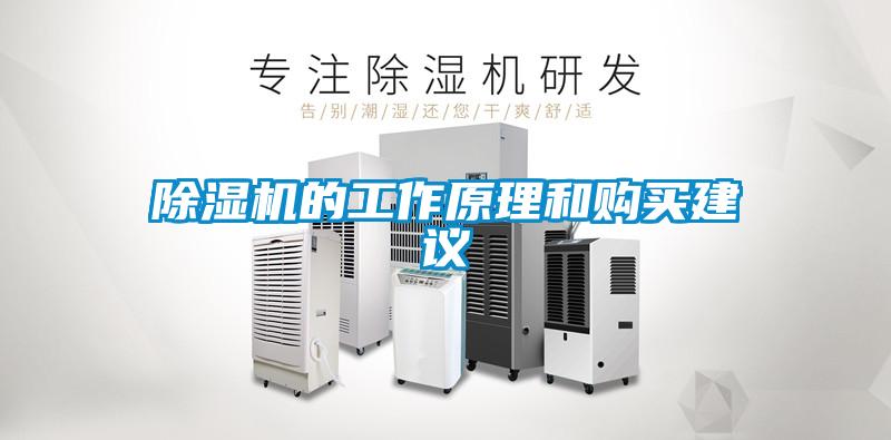 除濕機(jī)的工作原理和購(gòu)買(mǎi)建議