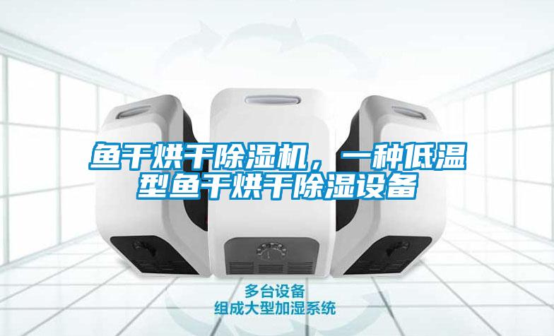 魚干烘干除濕機(jī)，一種低溫型魚干烘干除濕設(shè)備