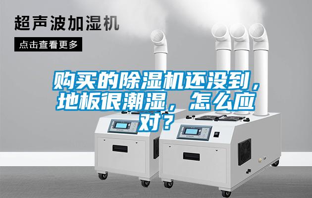 購買的除濕機還沒到，地板很潮濕，怎么應(yīng)對？