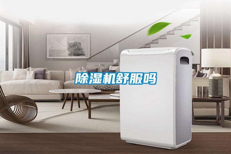 除濕機舒服嗎
