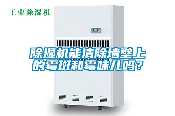 除濕機能清除墻壁上的霉斑和霉味兒嗎？
