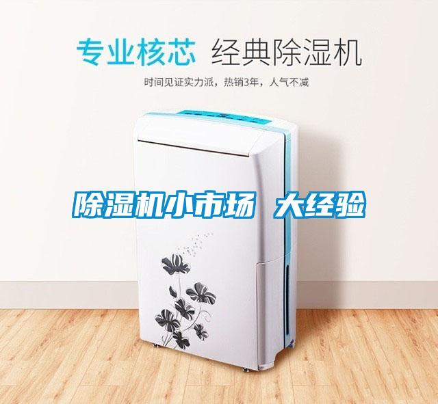 除濕機(jī)小市場(chǎng) 大經(jīng)驗(yàn)