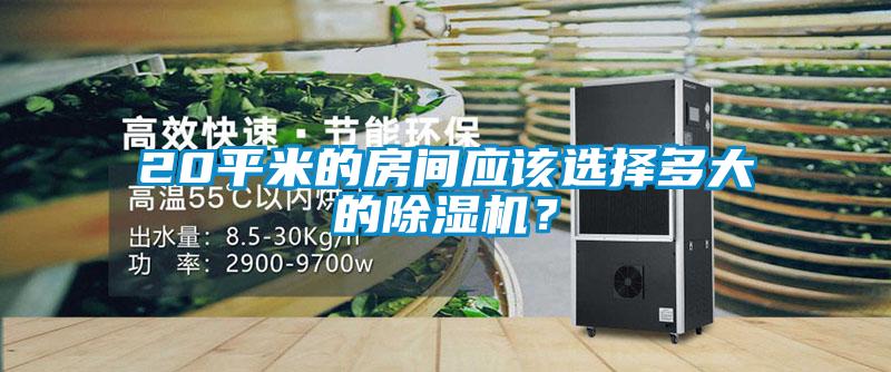 20平米的房間應(yīng)該選擇多大的除濕機(jī)？