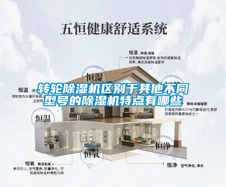 轉(zhuǎn)輪除濕機(jī)區(qū)別于其他不同型號(hào)的除濕機(jī)特點(diǎn)有哪些