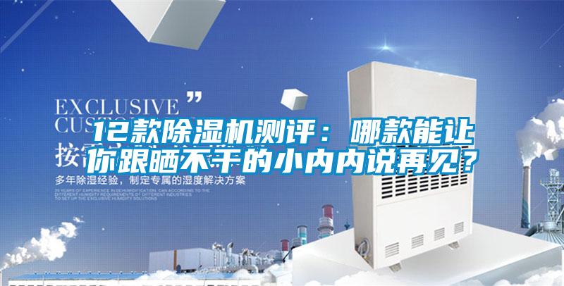 12款除濕機(jī)測評(píng)：哪款能讓你跟曬不干的小內(nèi)內(nèi)說再見？