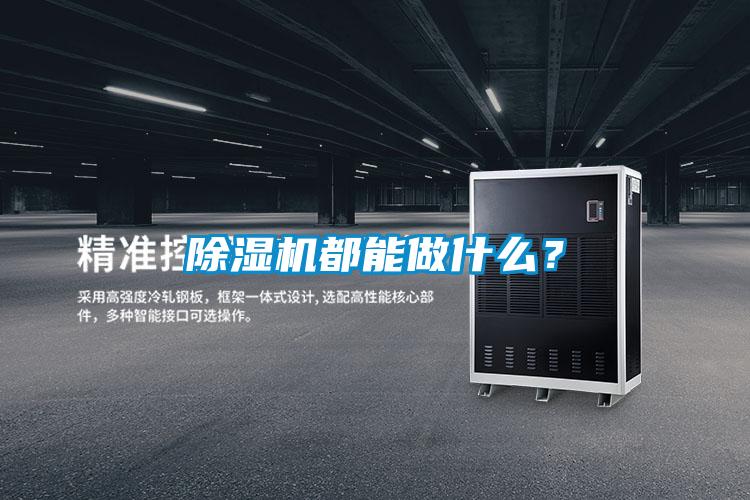 除濕機(jī)都能做什么？