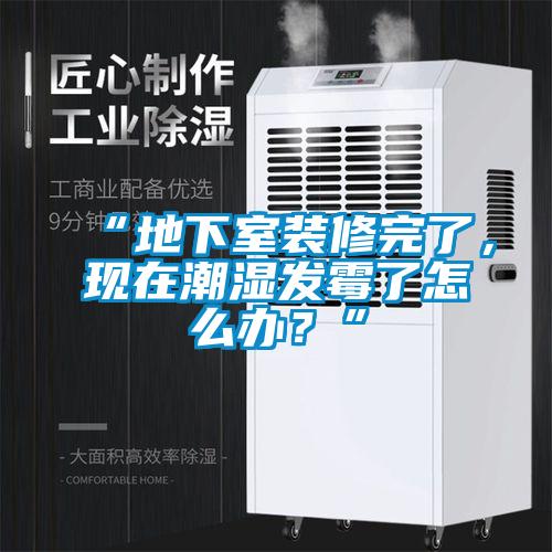 “地下室裝修完了，現(xiàn)在潮濕發(fā)霉了怎么辦？”