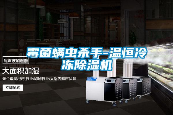霉菌螨蟲(chóng)殺手-溫恒冷凍除濕機(jī)