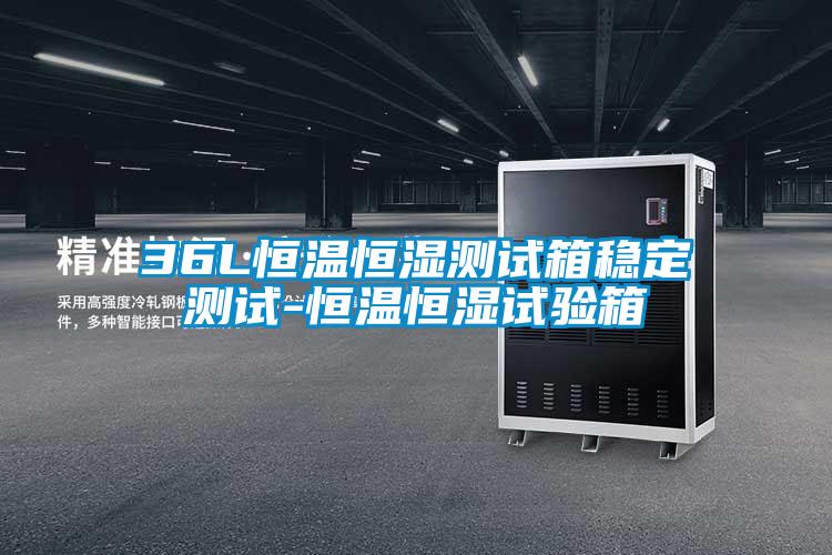 36L恒溫恒濕測試箱穩(wěn)定測試-恒溫恒濕試驗(yàn)箱