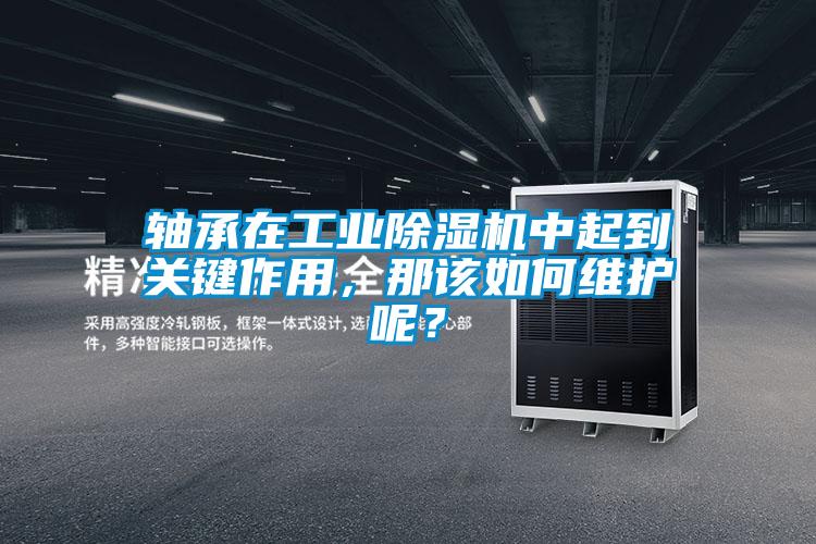 軸承在工業(yè)除濕機(jī)中起到關(guān)鍵作用，那該如何維護(hù)呢？