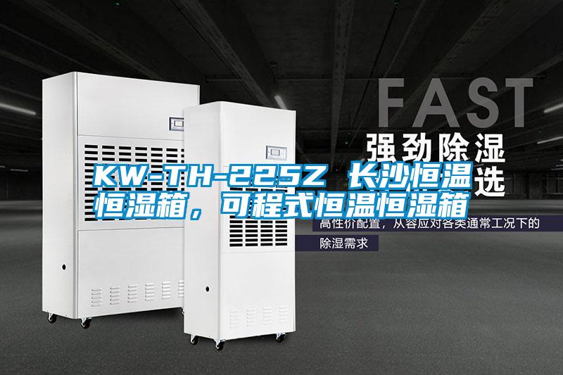 KW-TH-225Z 長(zhǎng)沙恒溫恒濕箱，可程式恒溫恒濕箱