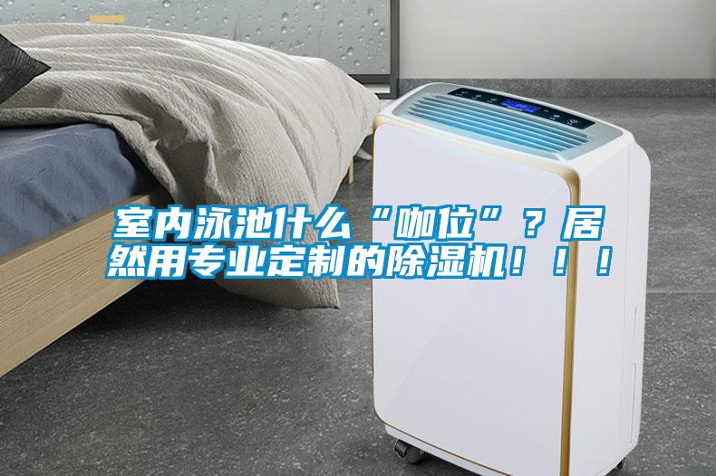 室內(nèi)泳池什么“咖位”？居然用專業(yè)定制的除濕機(jī)?。?！