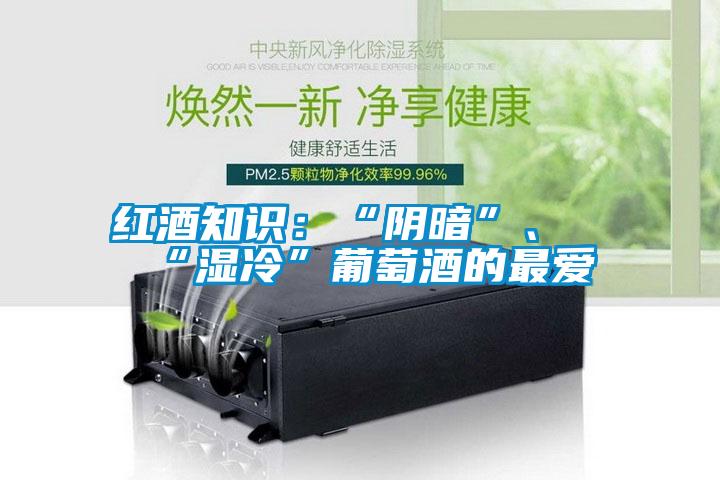 紅酒知識：“陰暗”、“濕冷”葡萄酒的最愛