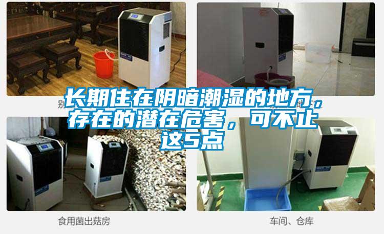 長期住在陰暗潮濕的地方，存在的潛在危害，可不止這5點