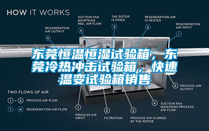 東莞恒溫恒濕試驗(yàn)箱，東莞冷熱沖擊試驗(yàn)箱，快速溫變試驗(yàn)箱銷售