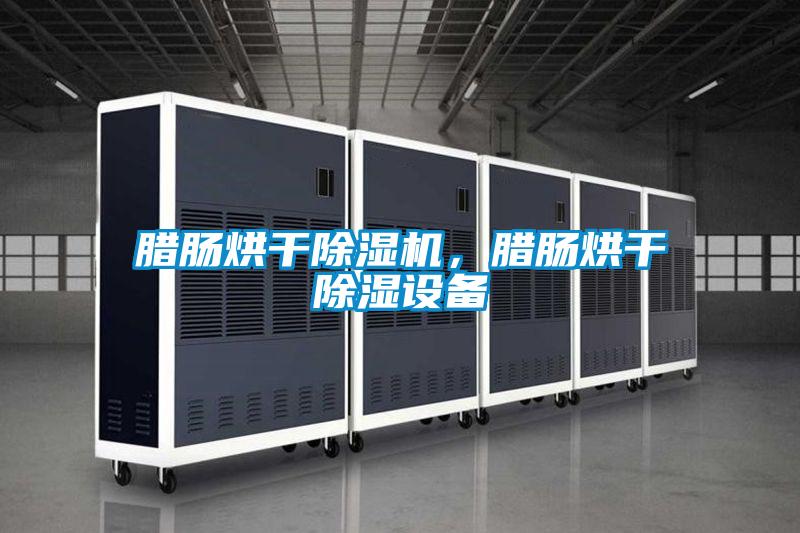 臘腸烘干除濕機(jī)，臘腸烘干除濕設(shè)備