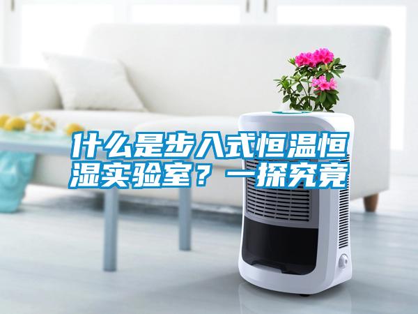 什么是步入式恒溫恒濕實驗室？一探究竟