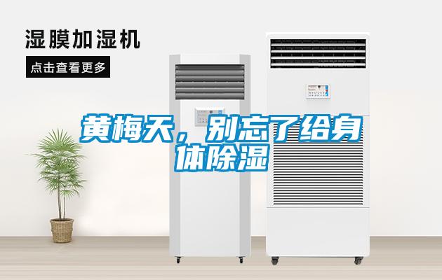 黃梅天，別忘了給身體除濕